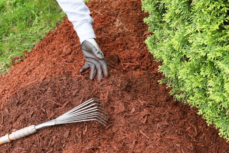 A garden rake in a pile of mulch, How Many Cubic Feet Is In A Yard Of Mulch? [Quick & Easy Calculation]