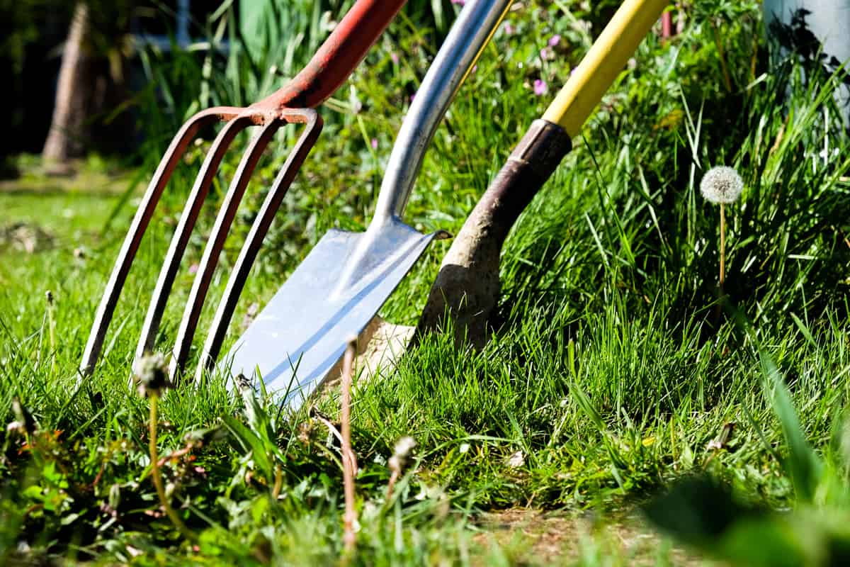 A red gardening fork a gardening spade and a gardening shovel with a yellow handle leaning against each other surrounded by grass in a garden, horizontal format