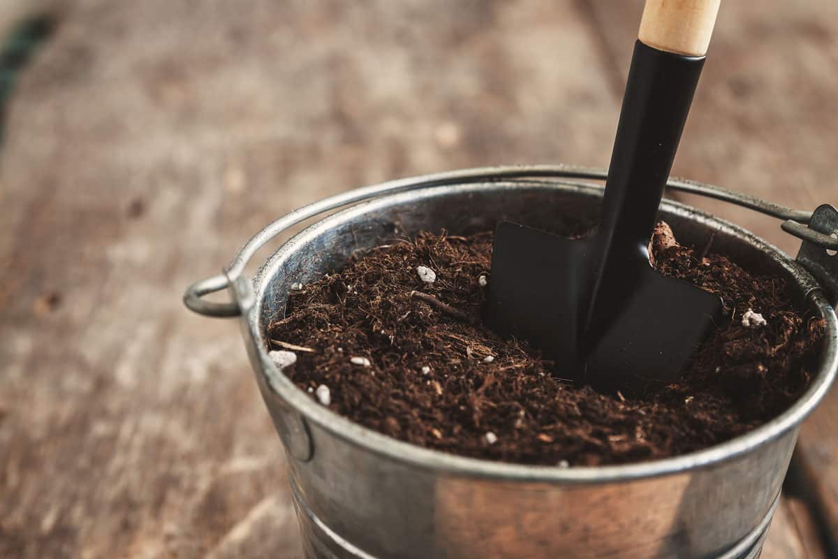 A shovel in a bucket with soil-soil