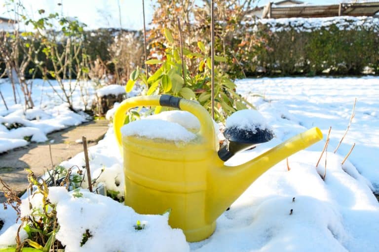 A yellow watering can stands in the snow-covered garden in winter