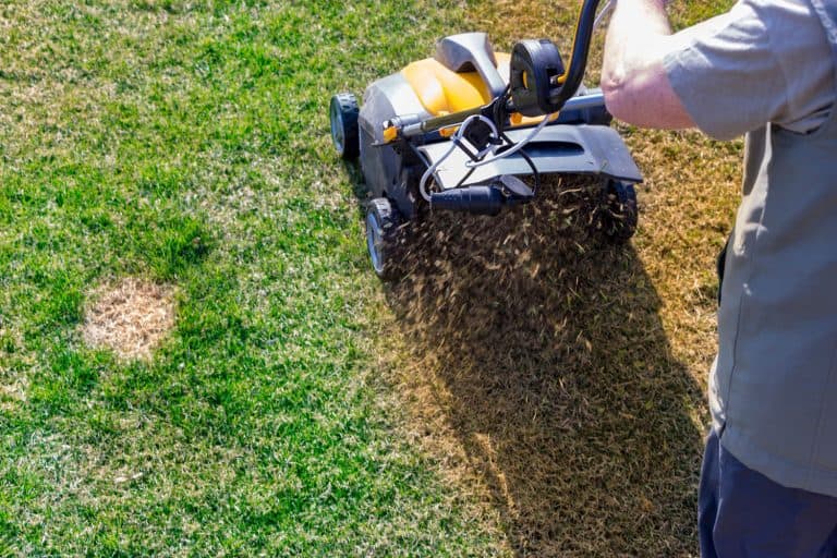A yellow aerator on green grass, Can You Rent An Aerator From Lowes?