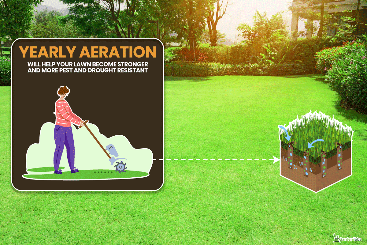 Fresh gardening green Bermuda grass smooth lawn with curve form of bush, Aerator Is Not Pulling Plugs - Causes & Fixes