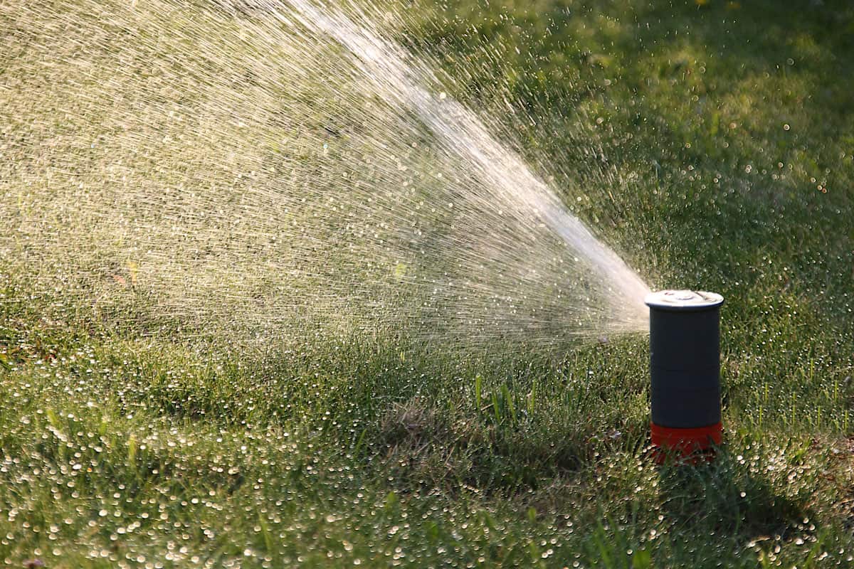 Automatic watering the lawn using sprinkler