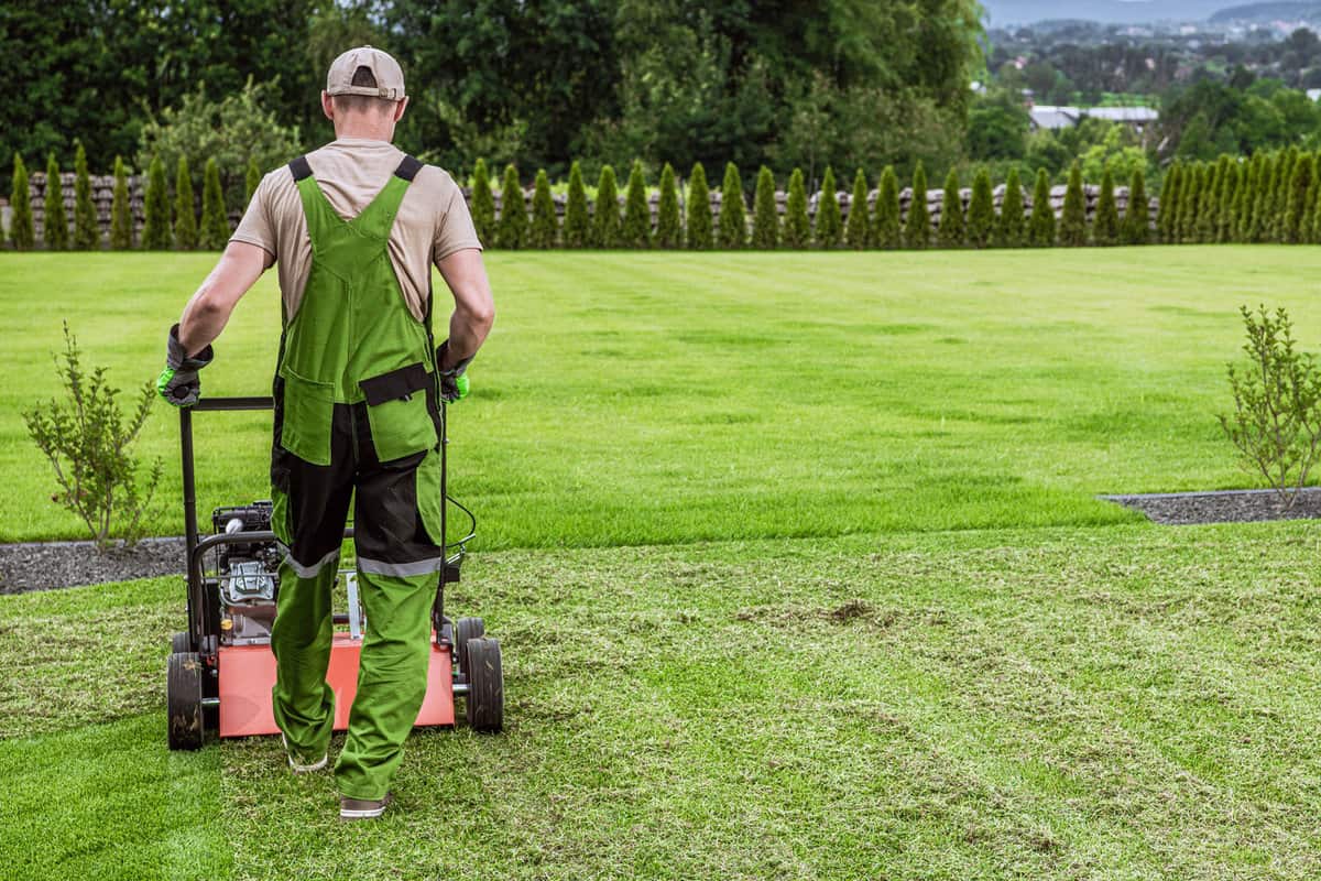 Gardener with powerful gasoline lawn aerator job for controlling lawn thatch, and reducing soil compaction