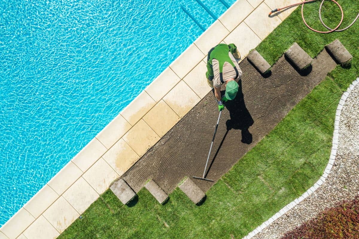 Professional landscaper installing brand new grass turfs around residential swimming pool