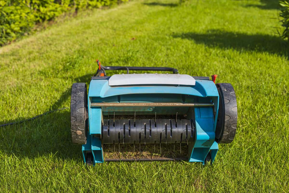 Close up view of electric lawn aerator on green grass