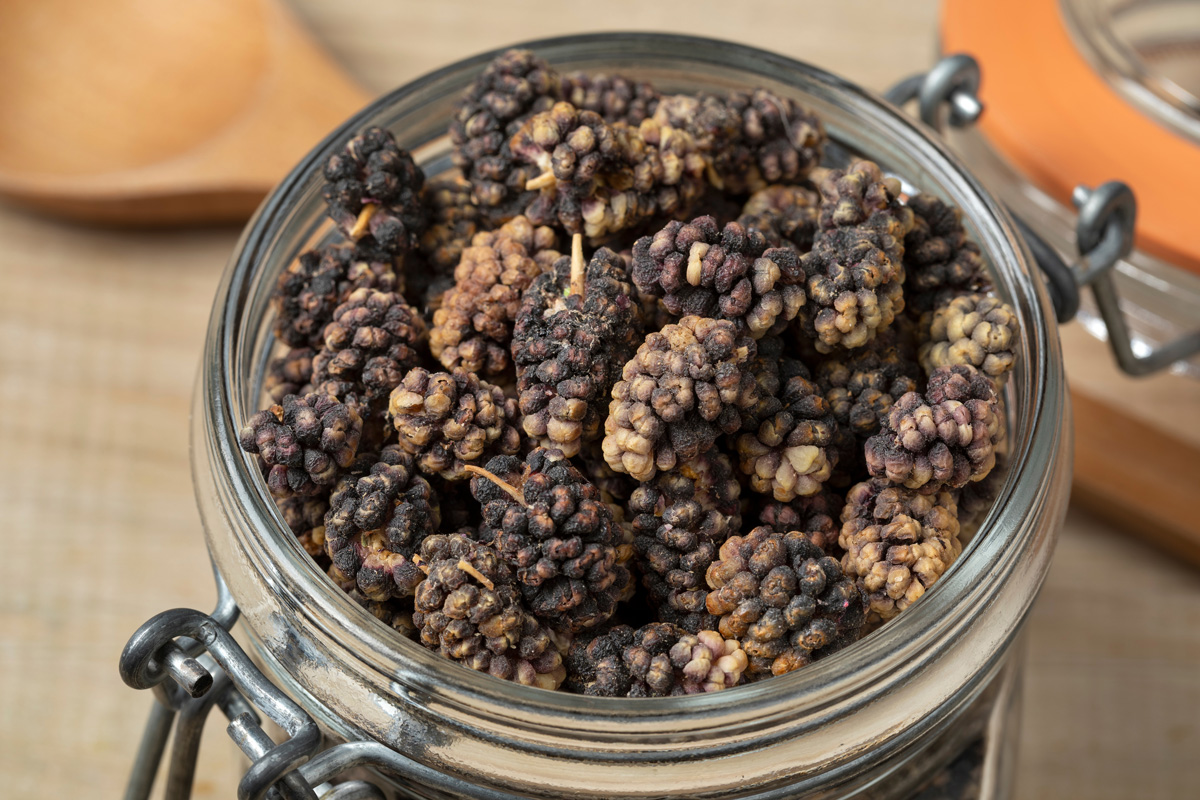 Dried black mulberries in a glass jar close up as an ingredient