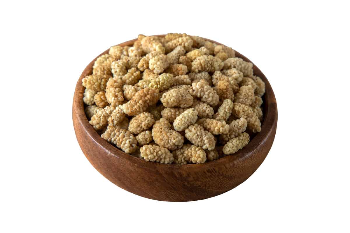 Dried out mulberry seeds on a white background