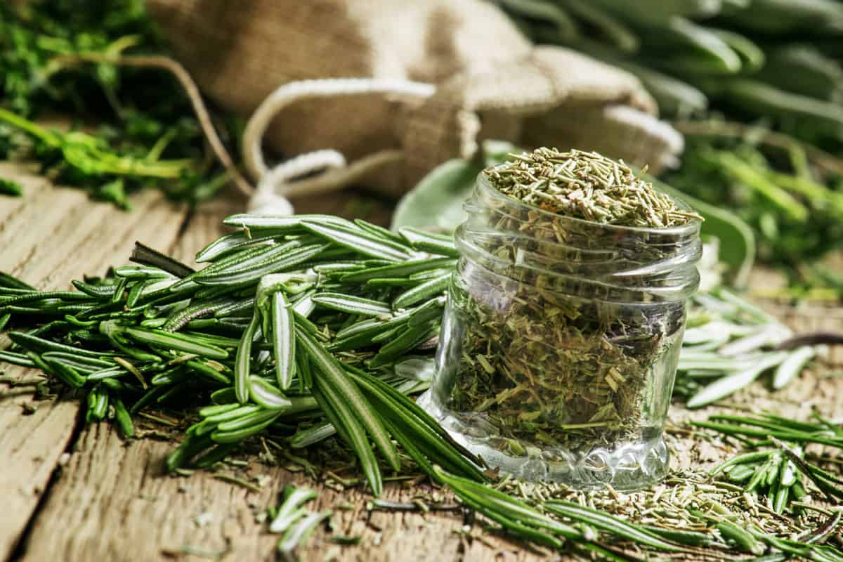 Dried rosemary in a glass jar, branches of fresh rosemary, vintage wooden