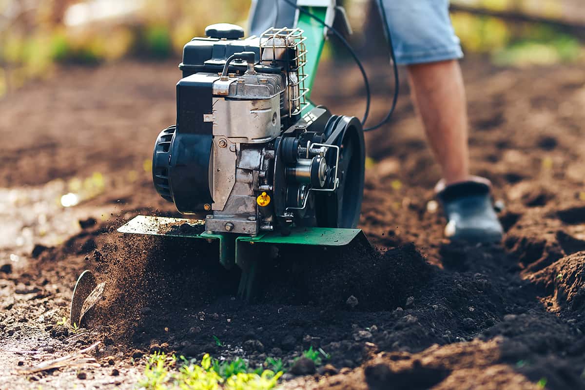 Gardener cultivate ground soil