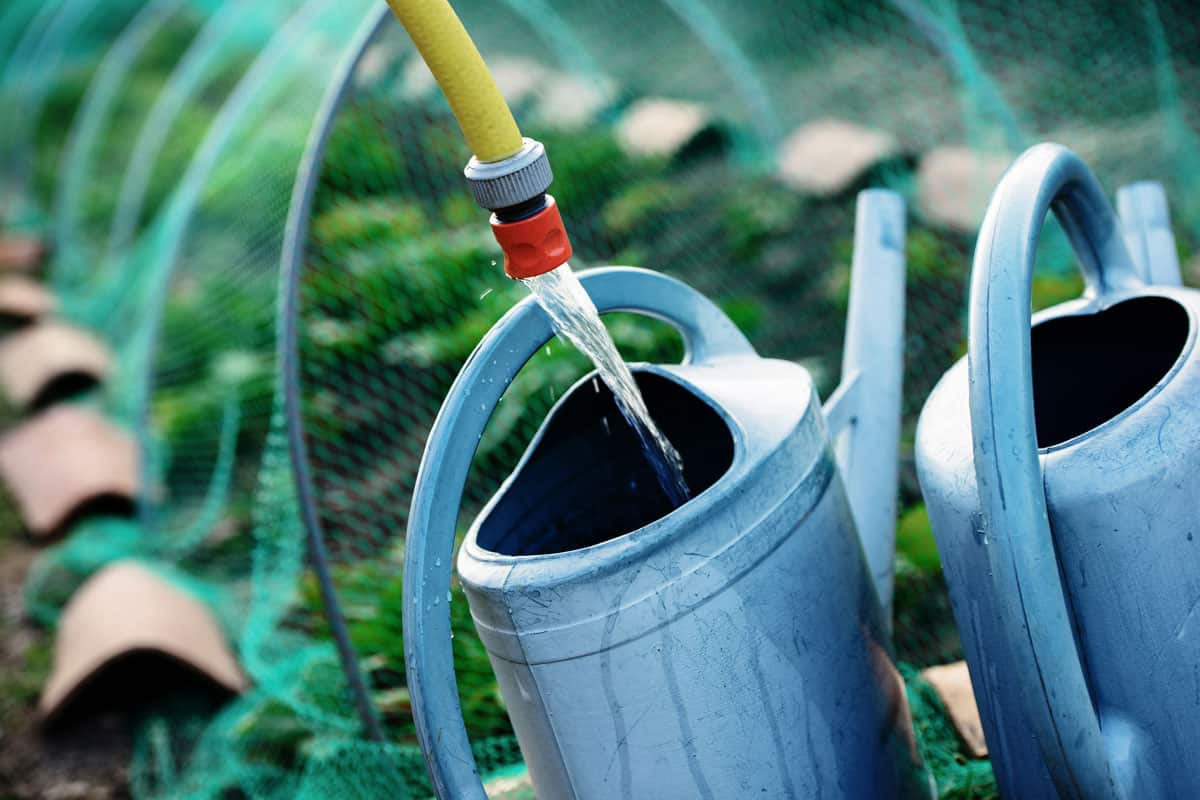 Gardening, fill watering can of water for watering the plants in garden