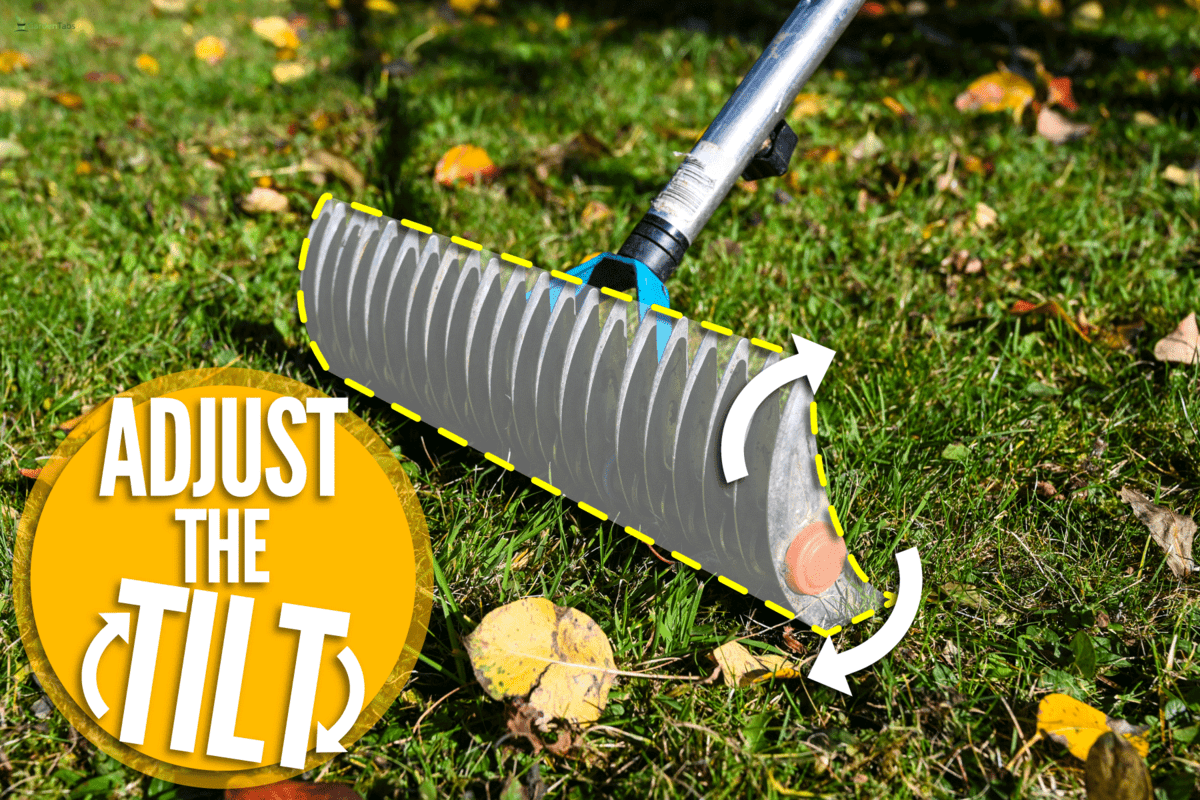 lawn thatcher garden yellow leaves on garden, How To Use A Craftsman Thatching Rake [Step By Step Guide]