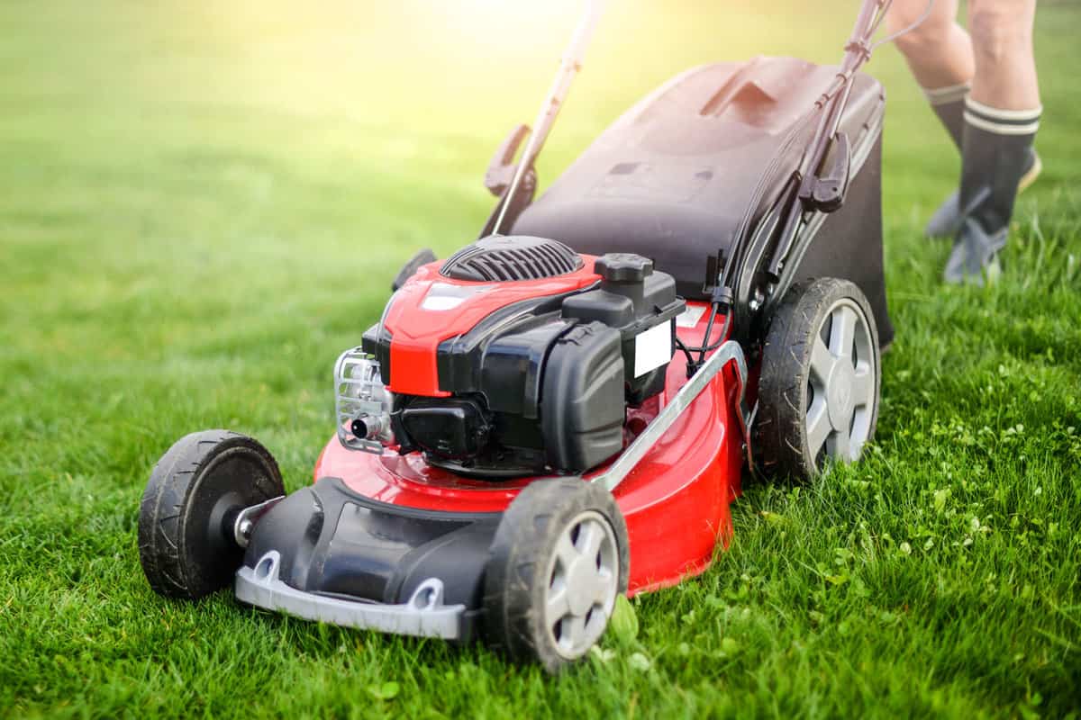 Lawn mover on green grass in modern garden. Machine for cutting lawns. 