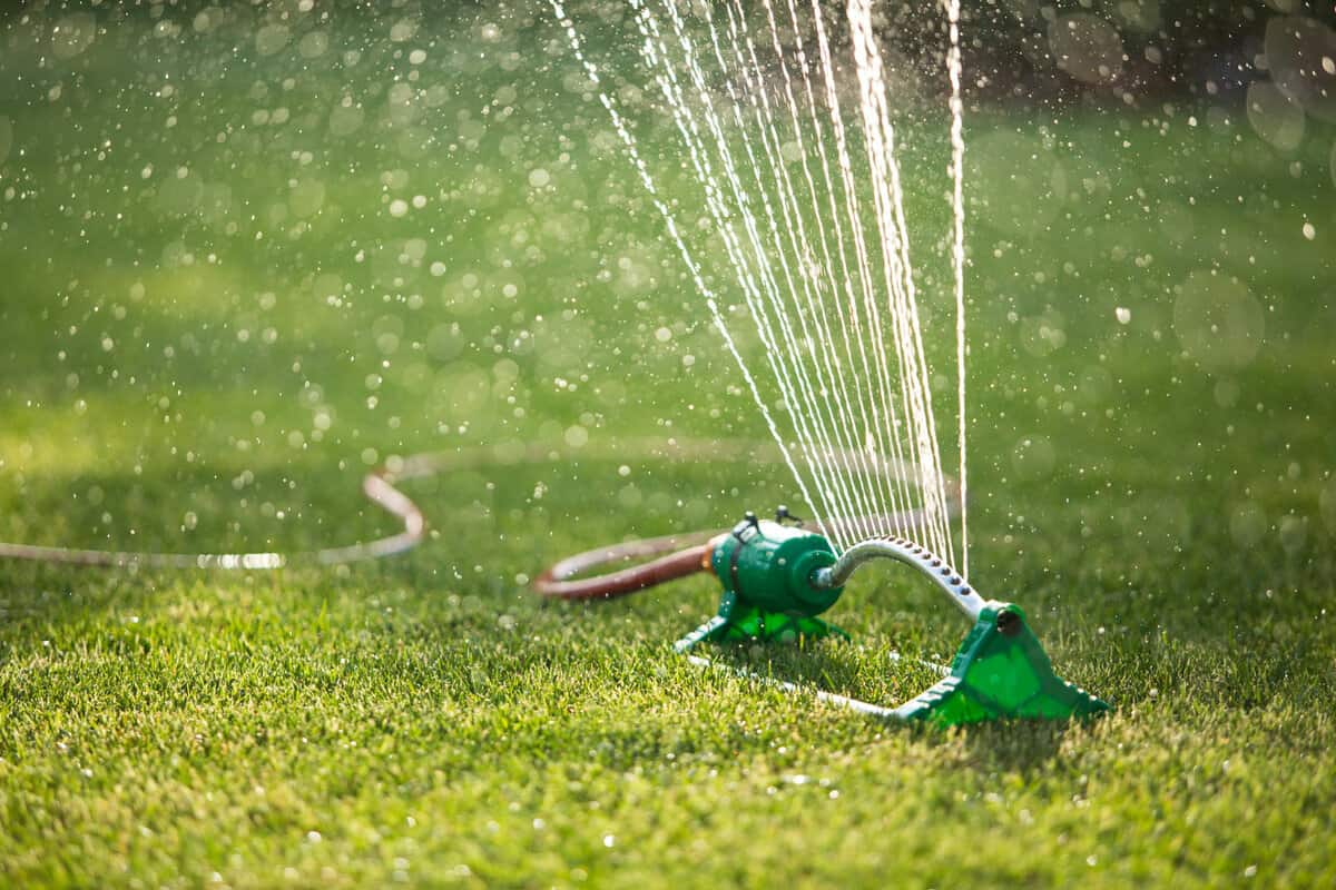 Lawn sprinkler spaying water over green grass