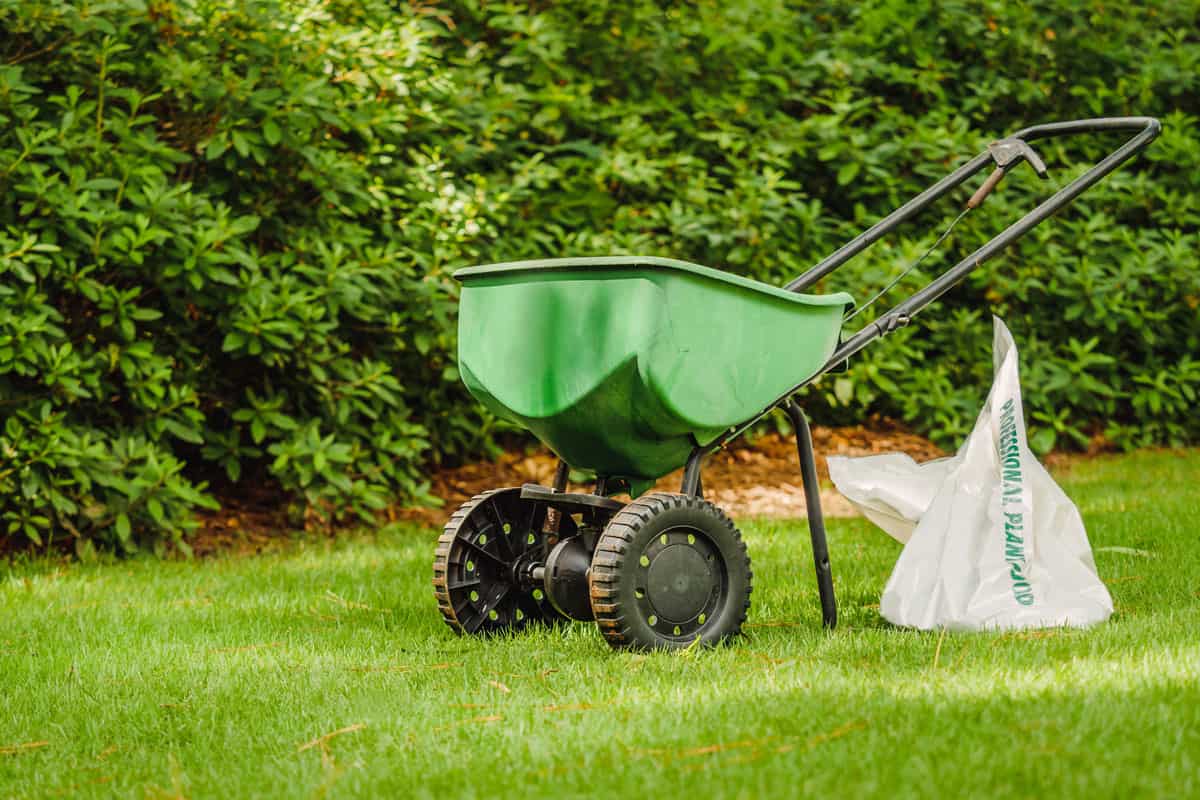 Manual walk behind grass seed spreader and bag of lawn fertilizer in a green residential backyard