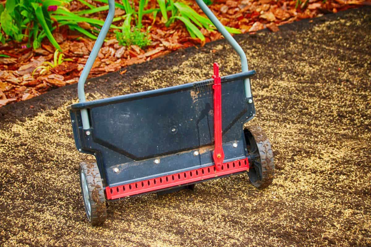 Modern lawn spreader on the strewed with lawn seeds soil in the summer garden.