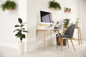 Modern workplace in room decorated with green potted plants, The Office Makeover Secret: How Adding Plants Can Revolutionize Your Workspace
