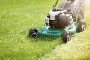 Mowing or cutting the long grass with a green lawn mower in the summer sun, Does Winter Fertilizer Need To Be Watered?