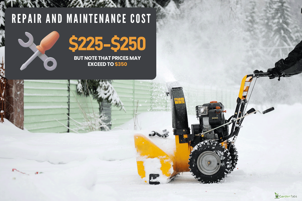 A man is cleaning the country road with snow blower in winter, My Cub Cadet Snow Blower Is Not Starting After Summer - What To Do?