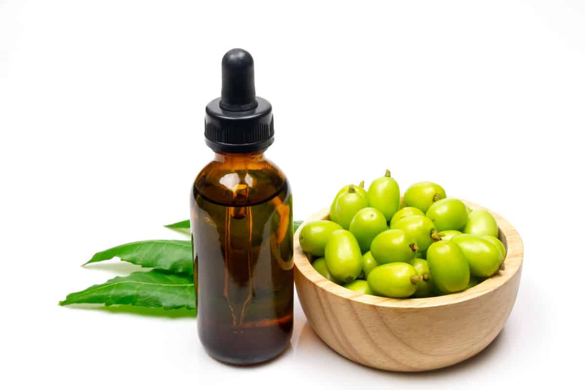 Neem oil in bottle green leaf and neem fruit on wooden bowl isolated on white background