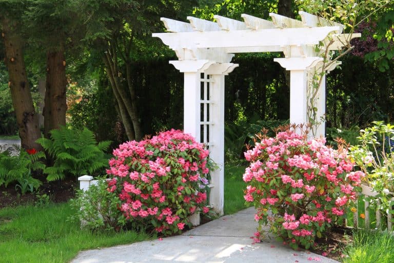 Pretty garden arbor with pink flowers, 13 Backyard Garden Entrance Ideas You Will Love!