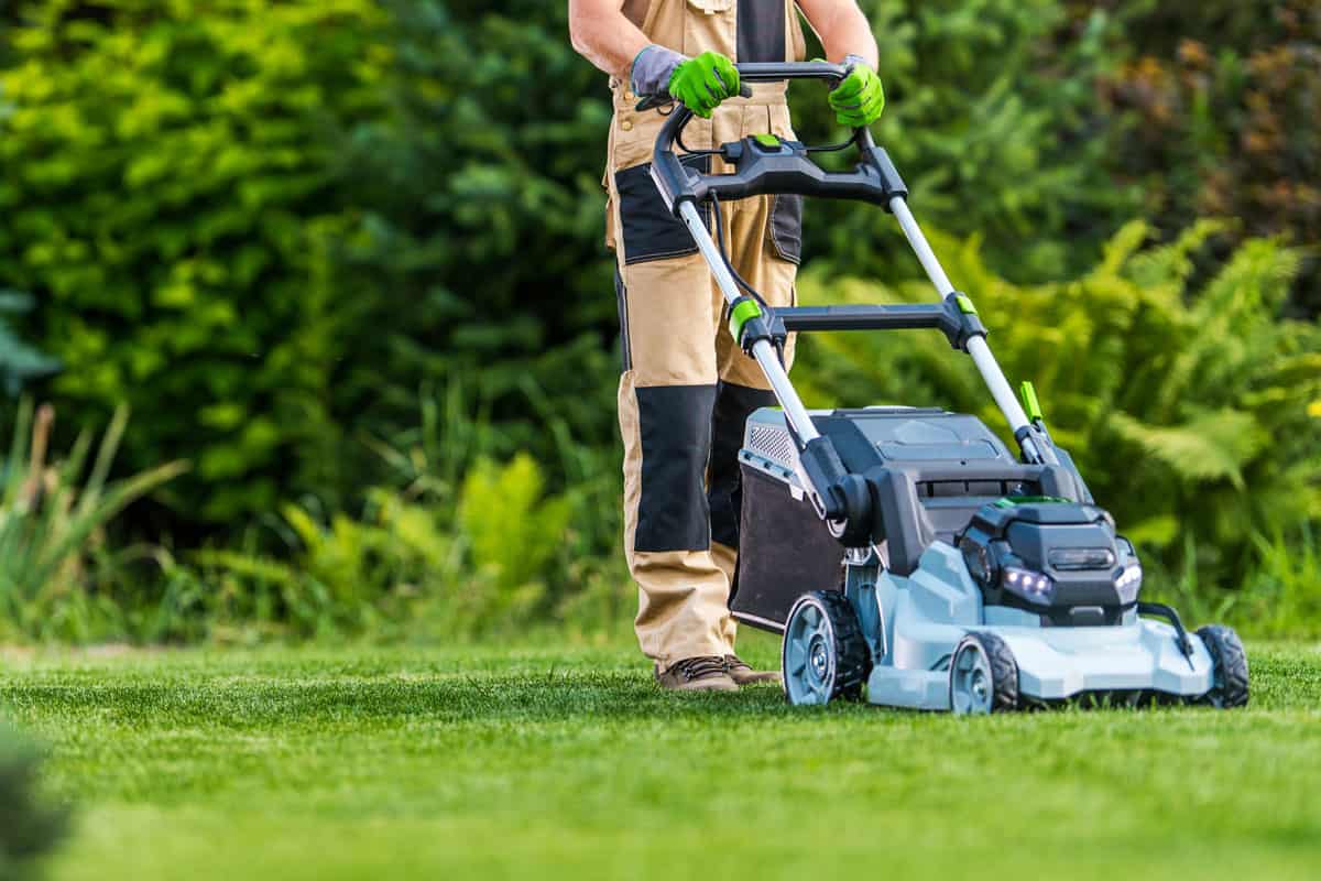 Professional Caucasian Gardener in His 40s Trimming Grass Lawn Using Modern Electric Cordless Mower