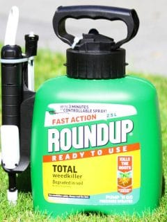 RoundUp in garden. RoundUp is a brand of herbicide containing glyphosate by Monsanto Company. - How To Replace Batteries In A Roundup Wand [Quickly & Easily]