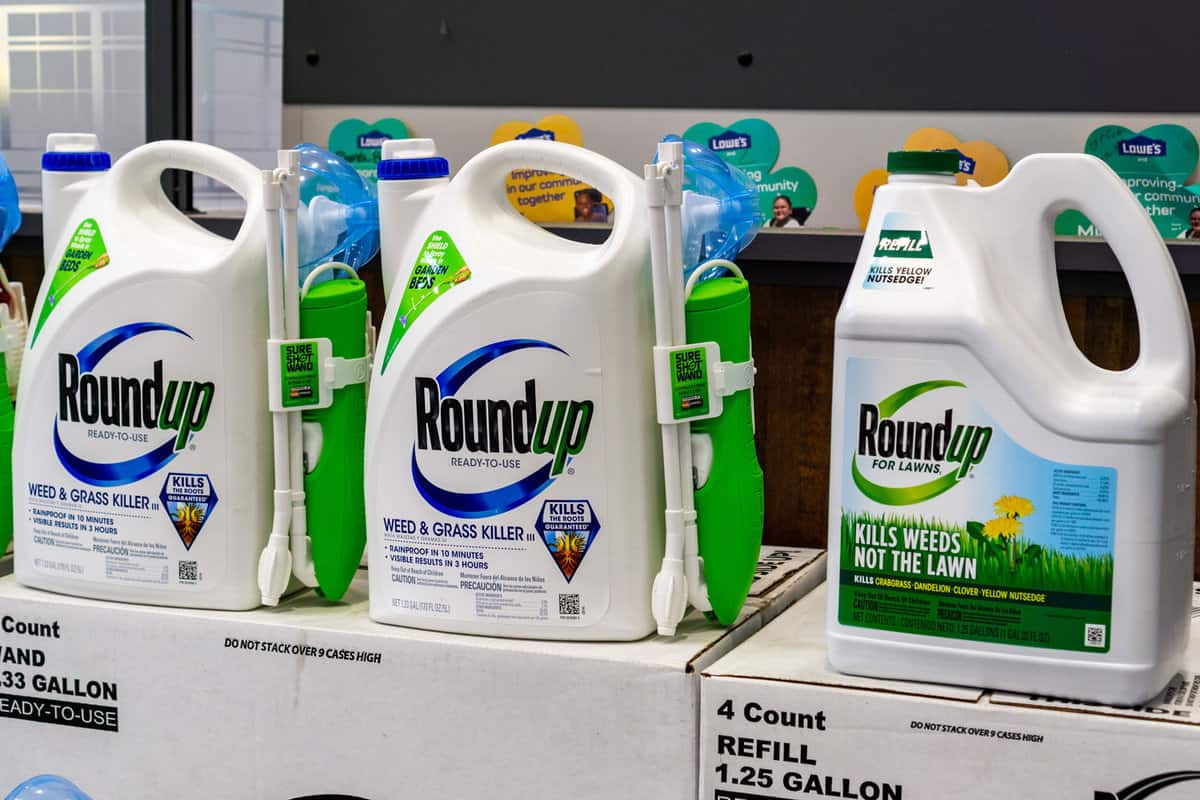 RoundUp weed killer on a store shelf