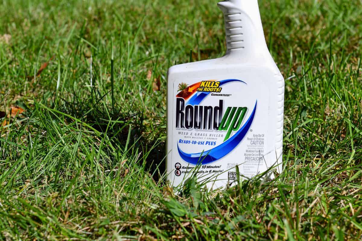 Roundup weed killer used to kill weeds in lawns, gardens and farms is the subject of multiple lawsuits claiming its key ingredient.
