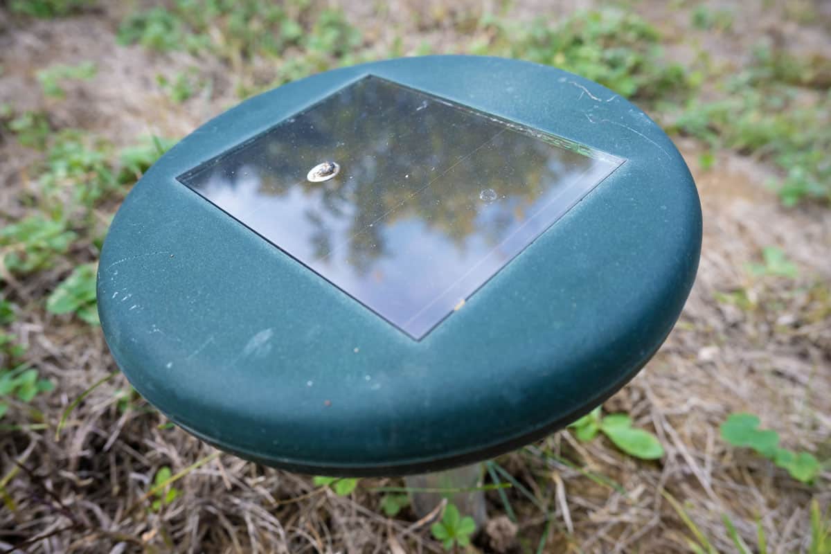 Solar-powered deterrent to keep moles away from vegetable gardens and gardens