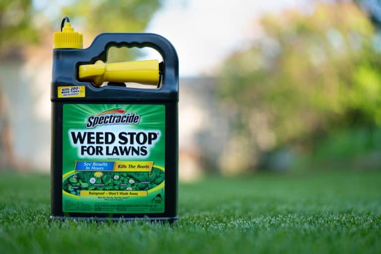 Spectracide Accushot Weed Stop Killer For Lawns container placed on grass in the sun., Can You Mix Roundup & Spectracide?