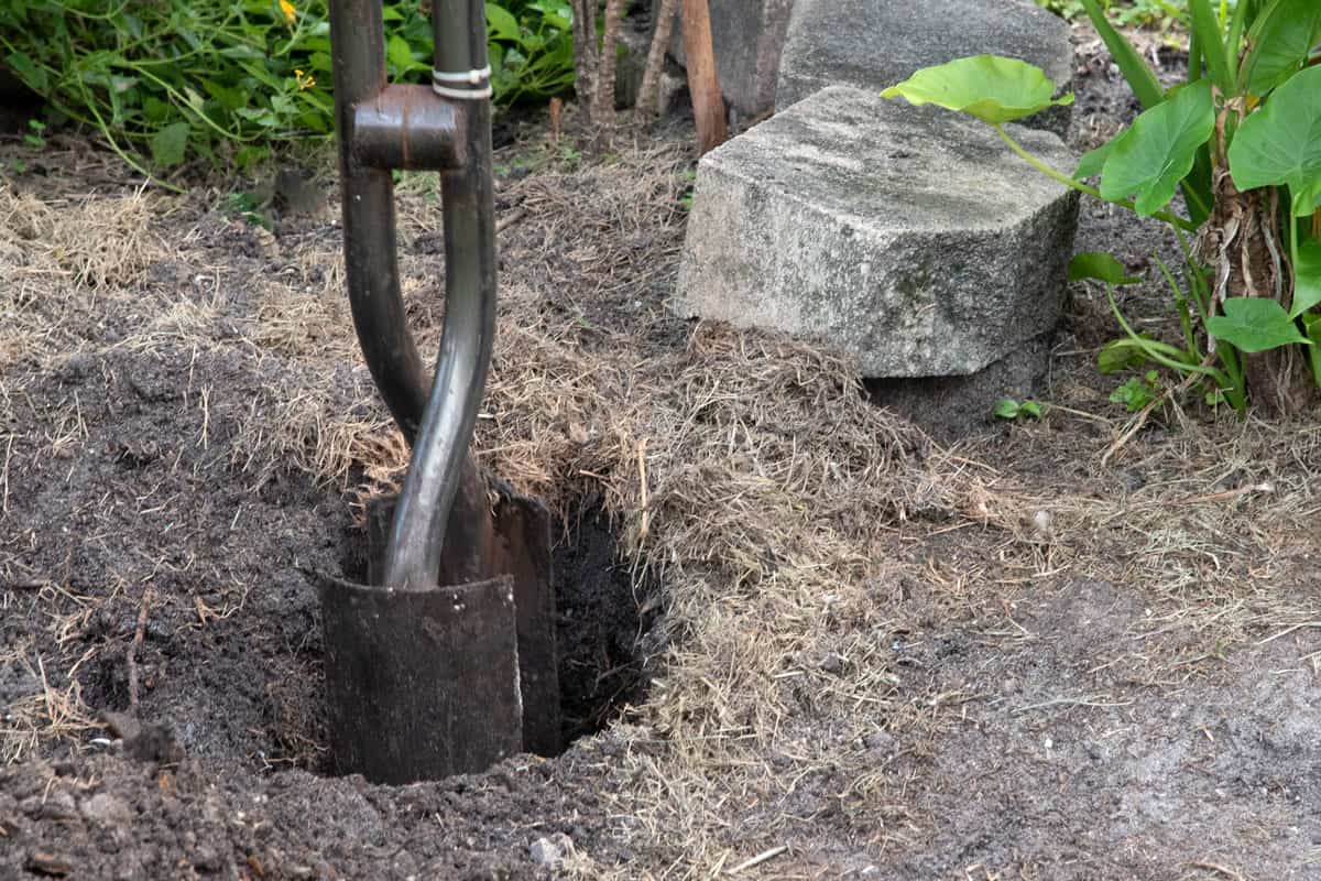 Steel post hole digger with shovel-like blades is being used to create a deep hole