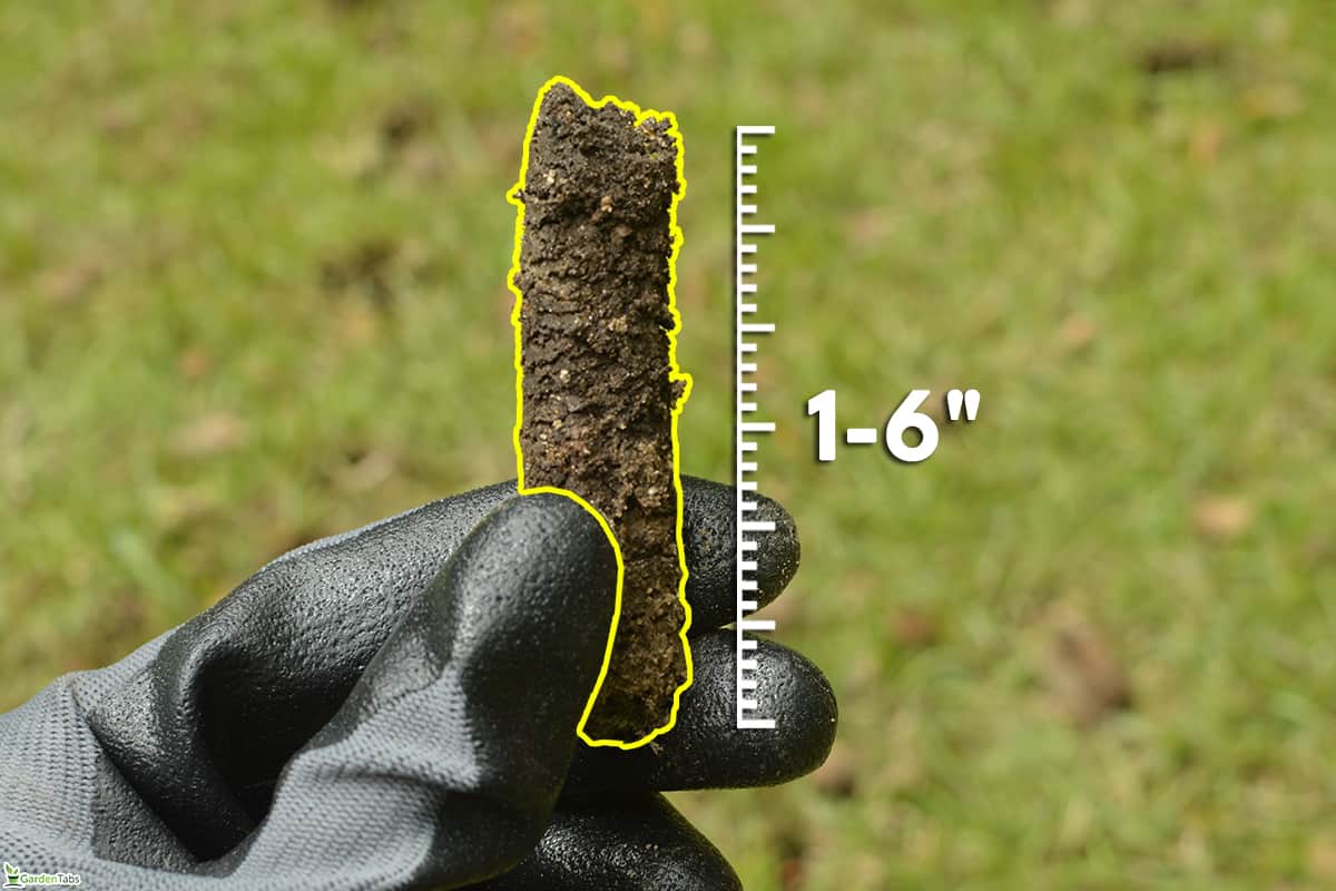 The standard depth of plug aeration, How Close Should Aeration Holes Be?