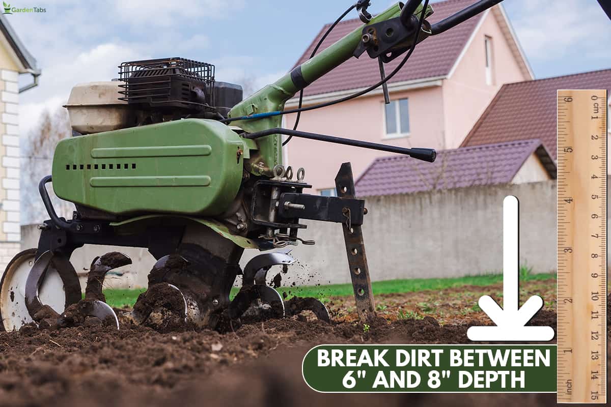 Tiller tractor cultivates the ground soil in the garden, How To Prepare Desert Soil For Gardening