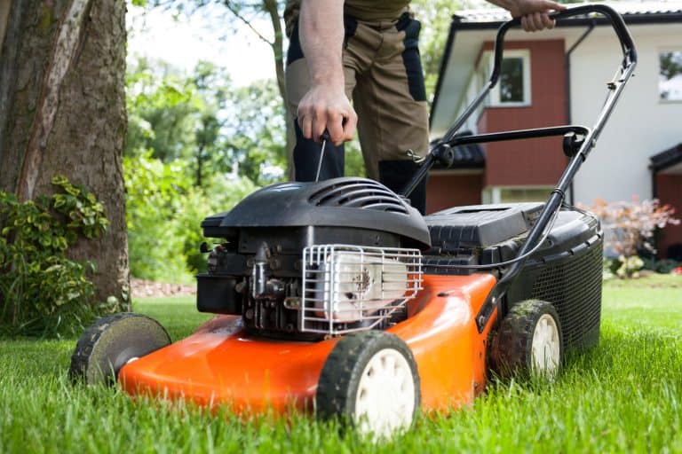 Turning on the lawn mower by gardener, What Causes A Blown Head Gasket On A Lawn Mower [With Tips On Repair]