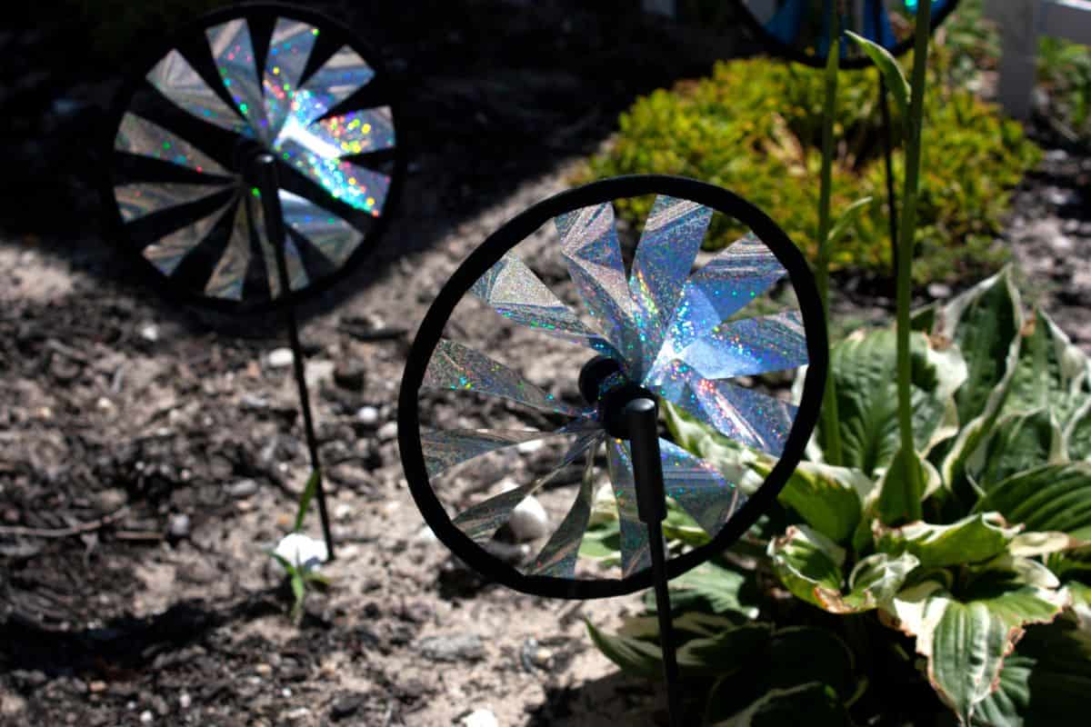 Two reflective pinwheels in a front yard