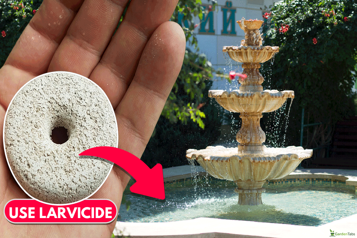 Use a larvicide, Do Garden Fountains Attract Mosquitoes?