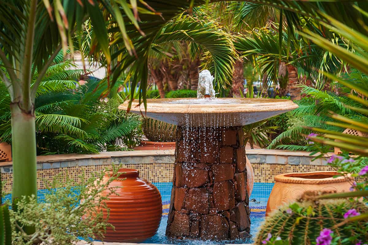 Vibrant tropical garden with small fountain