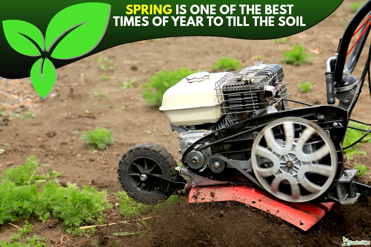 What's the best time of the year to till the ground, Can You Rototill Wet Soil? [When Is The Best Time To Till?] 