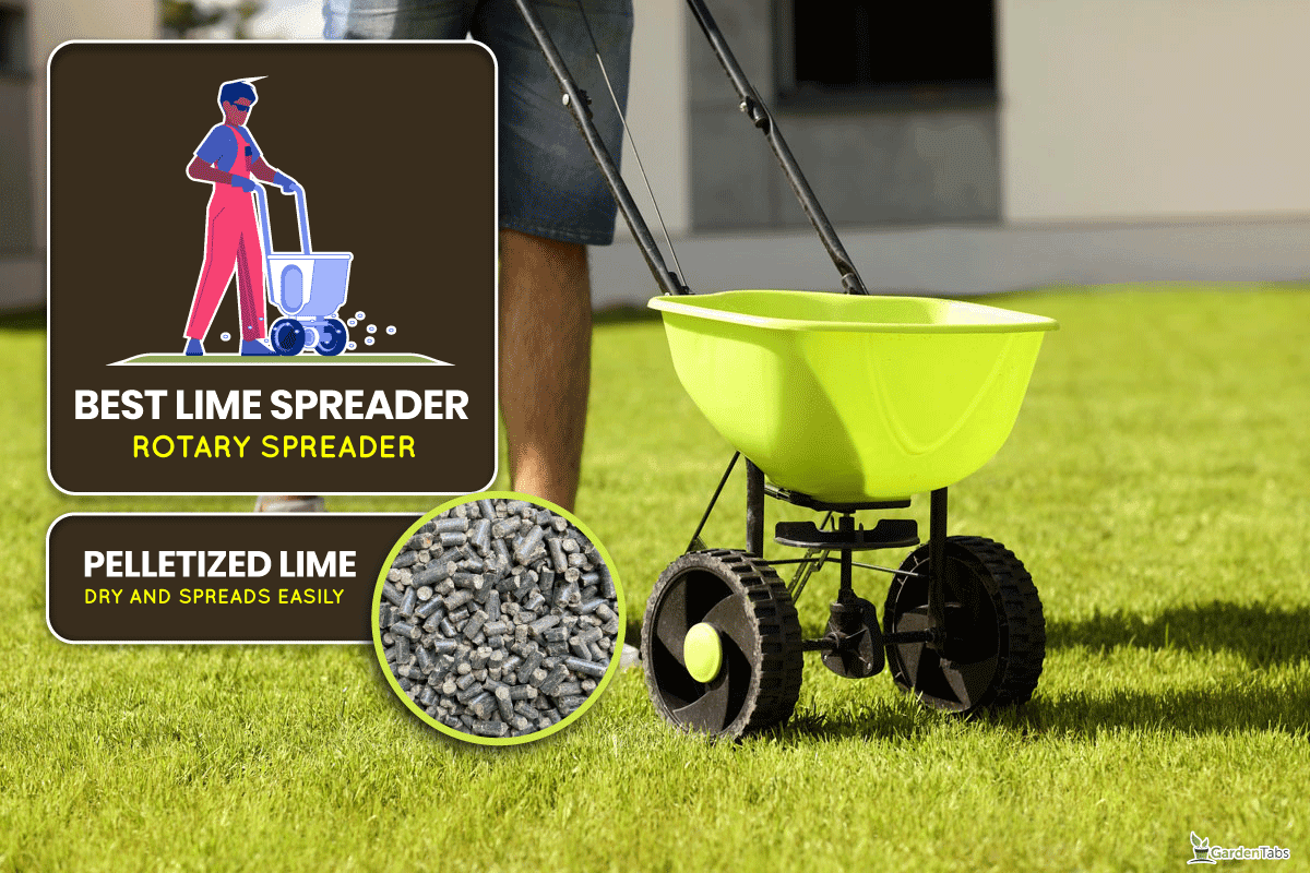 A man seeding grass in the backyard spreading, Will A Salt Spreader Spread Lime?