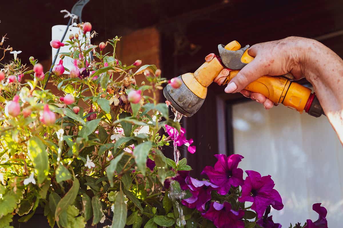 Woman holding a hose and spray gun whilst watering a hanging basket