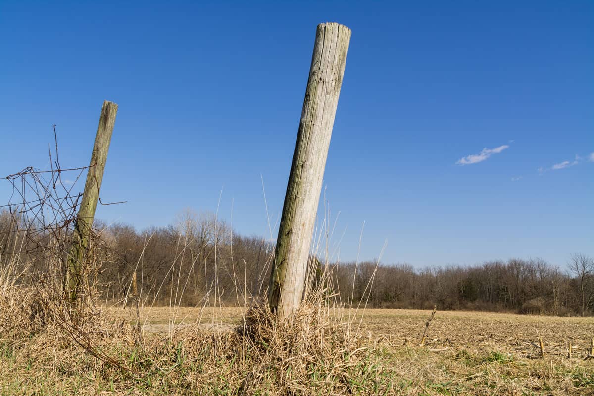 Wooden fence posts in the afternoon light with Midwest countryside in background.