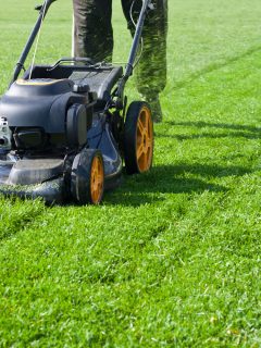 Worker guy shake pour grass from lawn mower bag into wheelbarrow. Garden meadow lawn cutting. Summer works in garden. Static shot., Toro Mower Making Grinding Noise - Why And What To Do