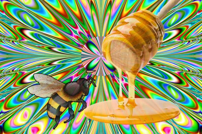 An image of himalayan bee honey and psychedelic geometry seamless pattern art, Unveiling The Secrets of Himalayan Bee Honey: A Natural Substance With Surprising Properties