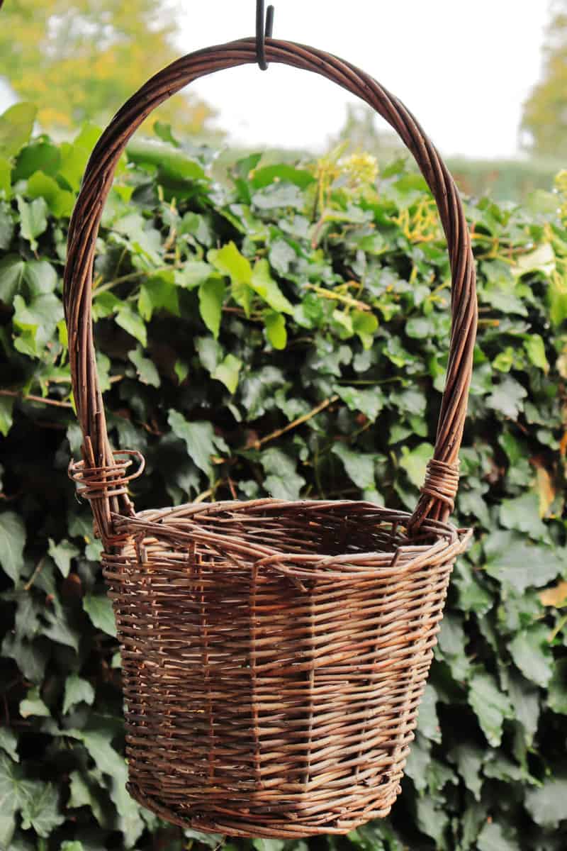 Brown hanging wicker basket with green background in autumn 