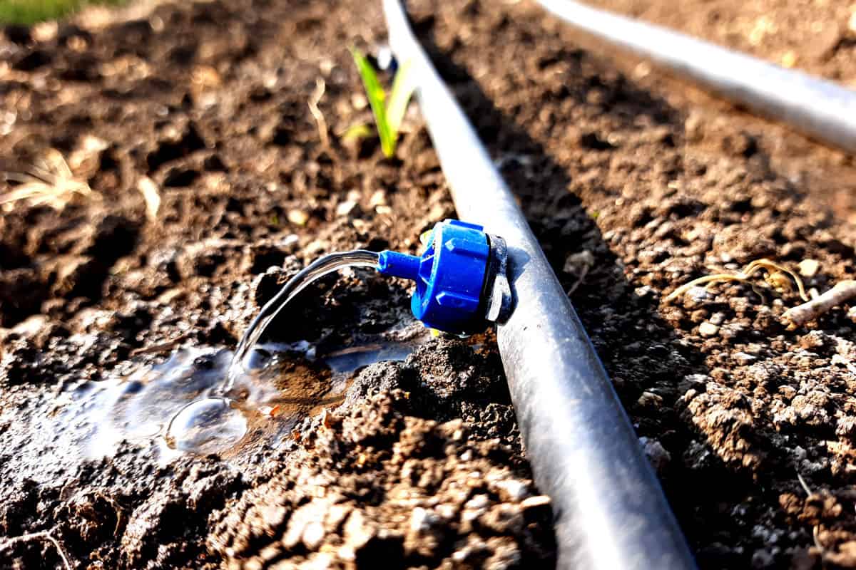 drip slowly to the roots of plants, either from above the soil surface or buried below the surface