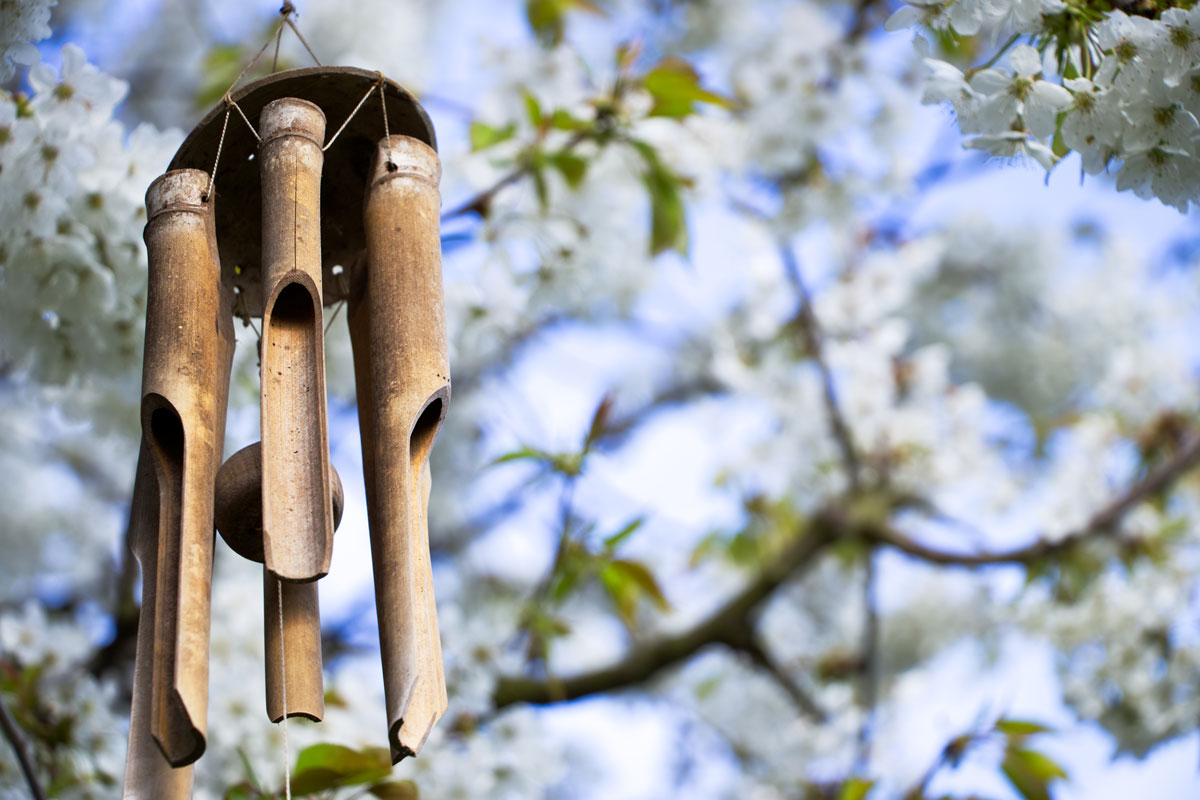 garden decoration, wind chimes hanging in a blooming tree, bamboo chimes on a cherry tree in garden