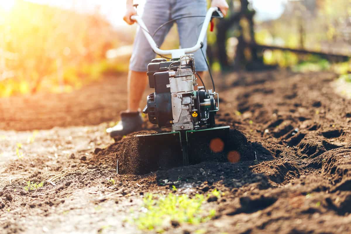 gardener cultivate ground soil rototiller , tiller tractor, cutivator, miiling machine, prepare for planting crop, spring