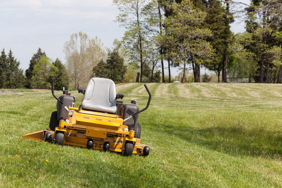 person on expansive lawn with a yellow zero-turn mower