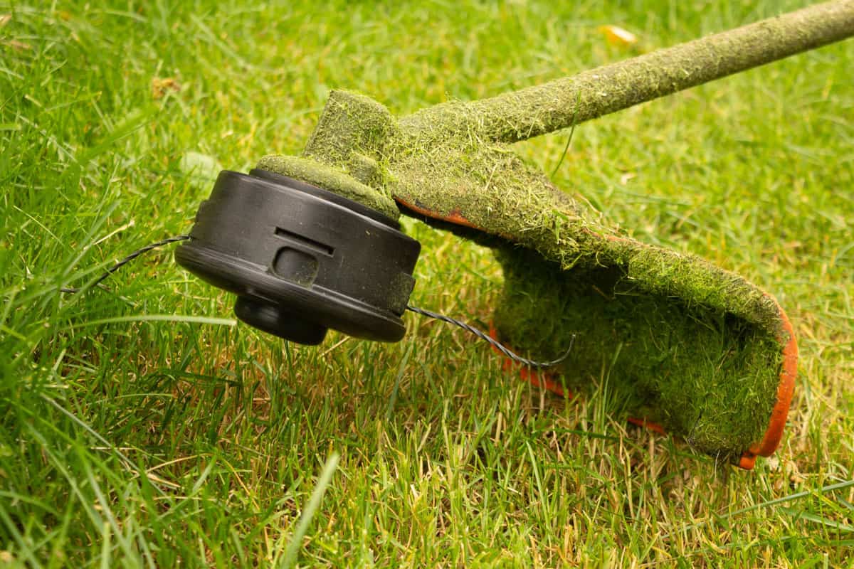 petrol trimmer mows green grass photography